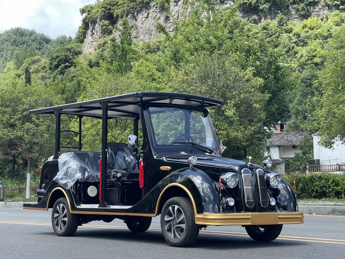 8座燃油老爺車寶馬款